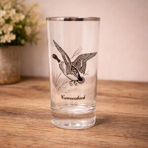 Federal Glass Canvasback Highball Glass Silver Trim Vintage